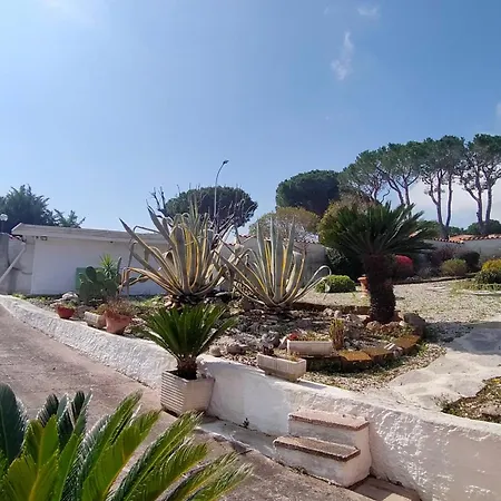 Monolocale Cod. 379 - Taunus Vacanze Numana